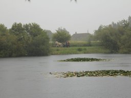 img_9824_web